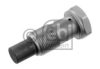 VW 066109507A Tensioner, timing chain